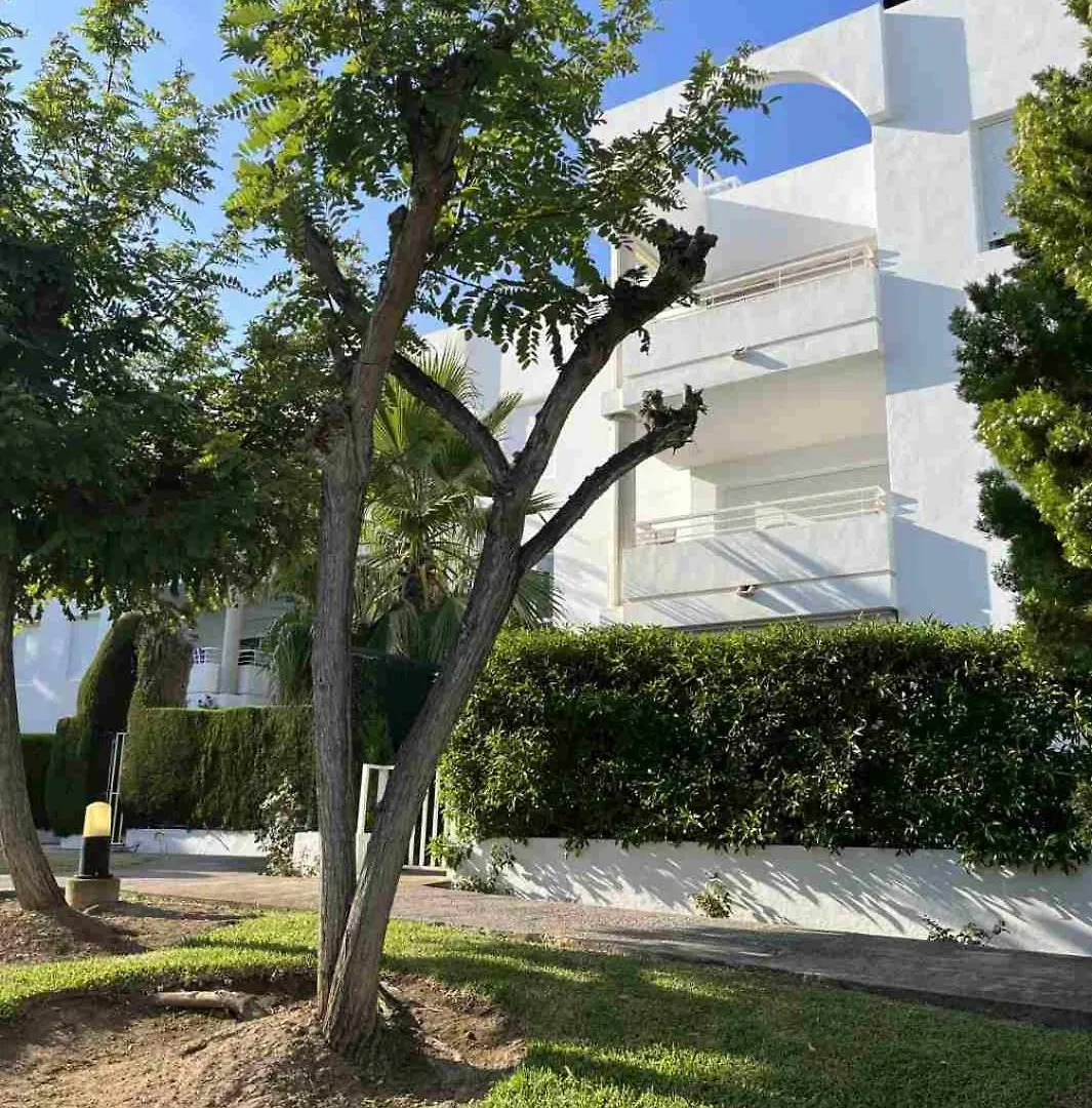 Isholidays Acron Puerto Pollensa 公寓